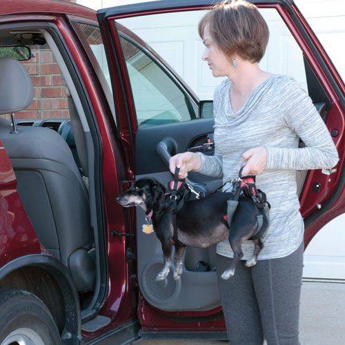 Solvit Care Lift Full Lifting Aid