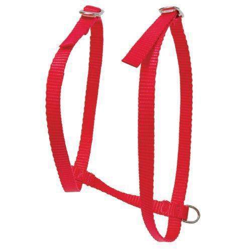 Adjustable Cat Harness