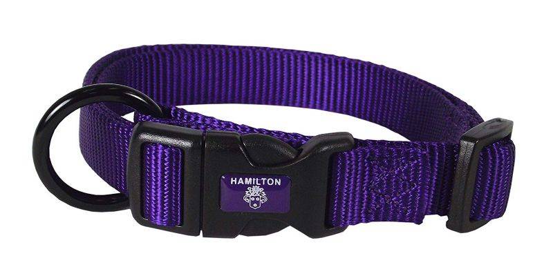 Adjustable Nylon Dog Collar