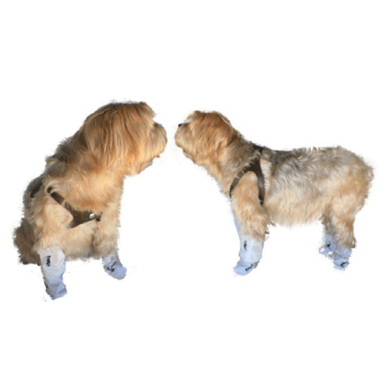 Noobys Multi Use Disposable Dog Booties - 8 Pack