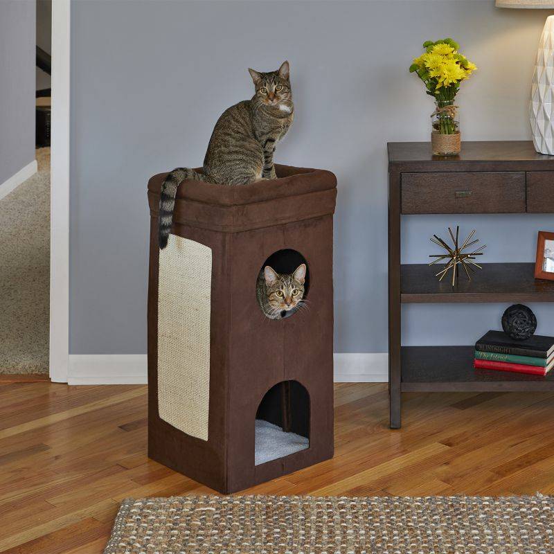 Curious Cat Condo - Curious Cat Condo Brown 2