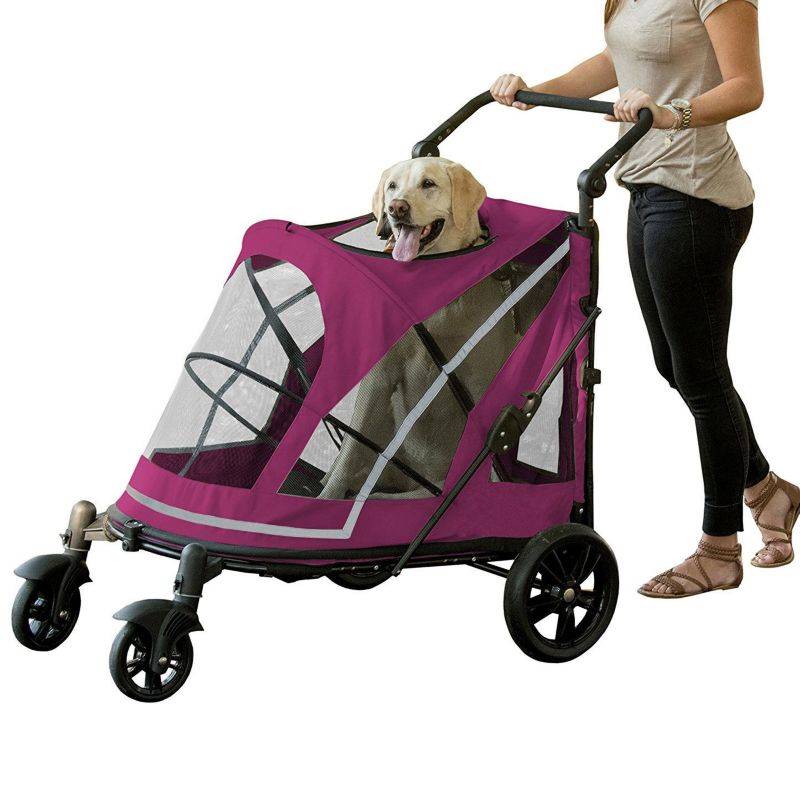 Pet Gear Expedition No Zip Stroller Boysenberry