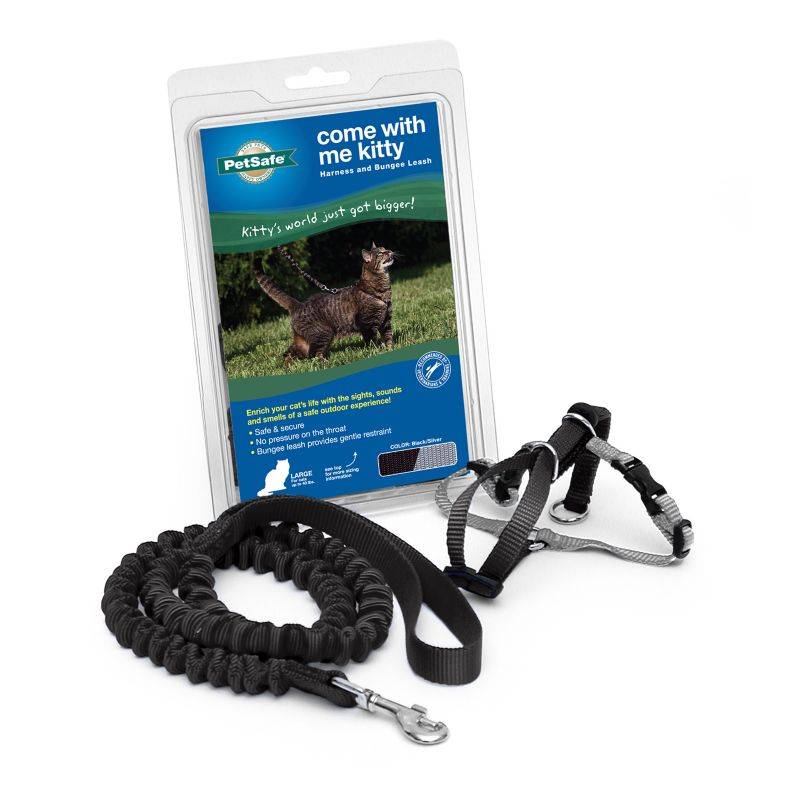 Photos - Leash PetSafe Come With Me Kitty Harness & Bungee  Large Black CWMK L BLK 