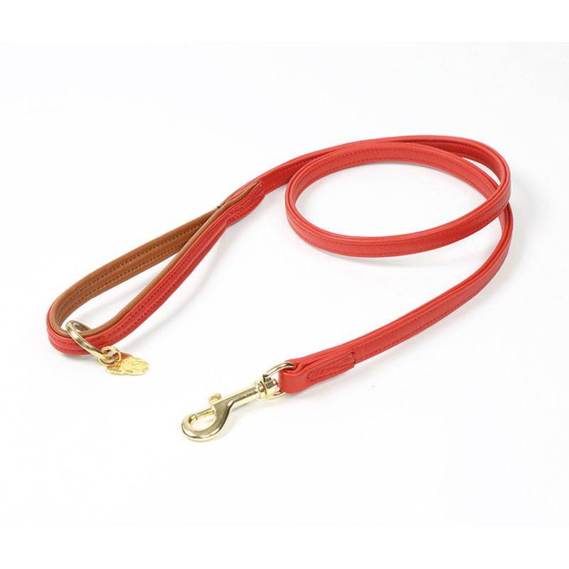 Shires Digby & Fox Padded Leather Dog Lead