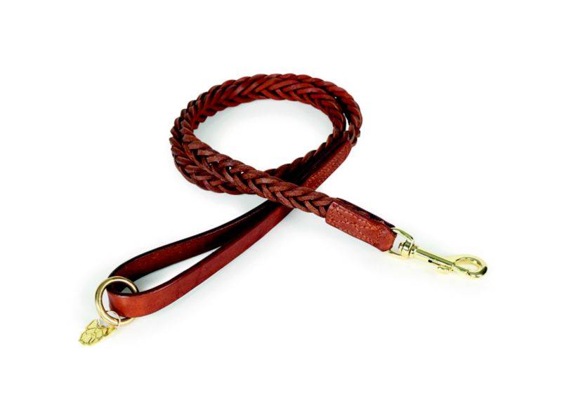 Shires Digby & Fox Plaited Dog Lead