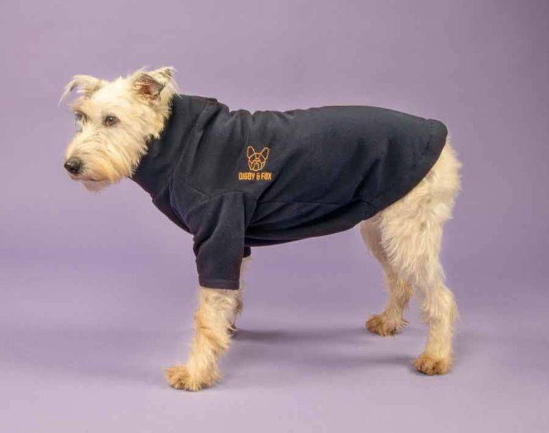 Shires Digby & Fox Fleece Dog Jumper