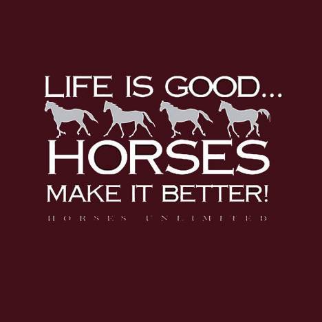 Life is GoodHorses Make it Better Hoodie