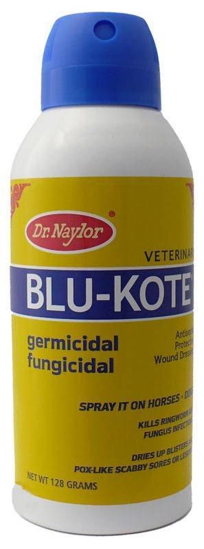Blue Kote Aerosol Spray