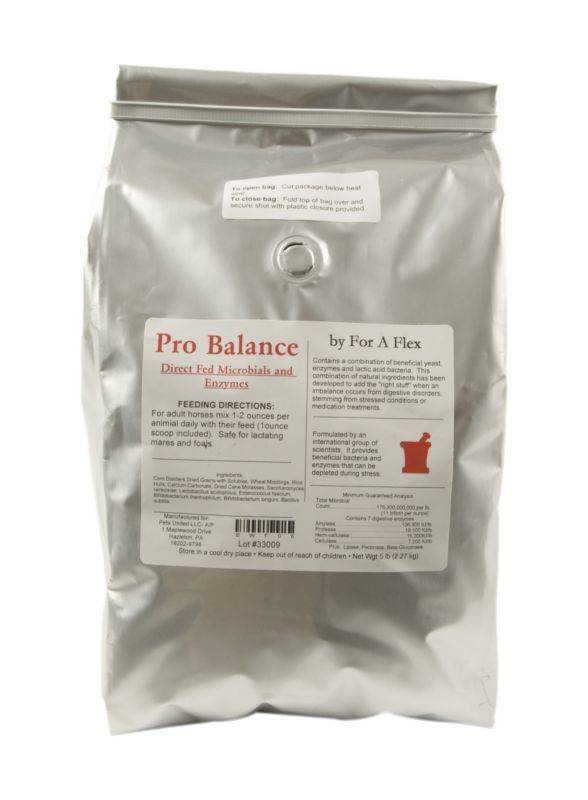 For-A-Flex Pro Balance