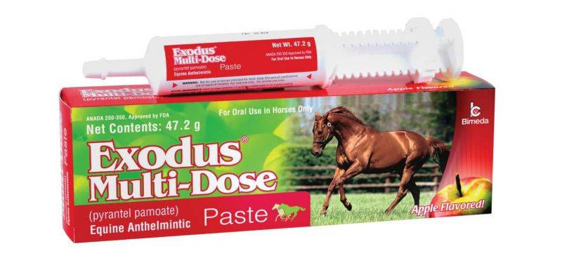 Exodus Multi-Dose Paste Dewormer