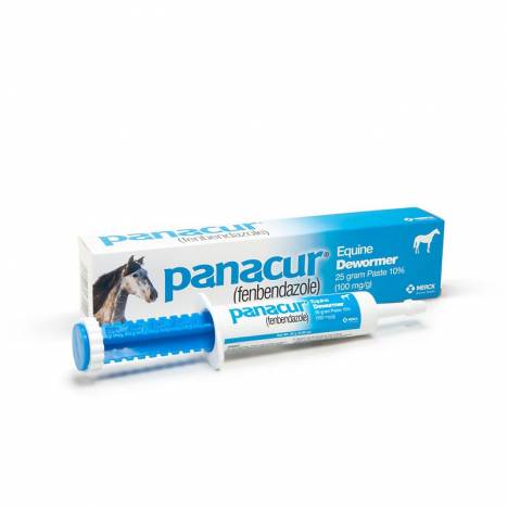 Panacur Paste Equine Dewormer