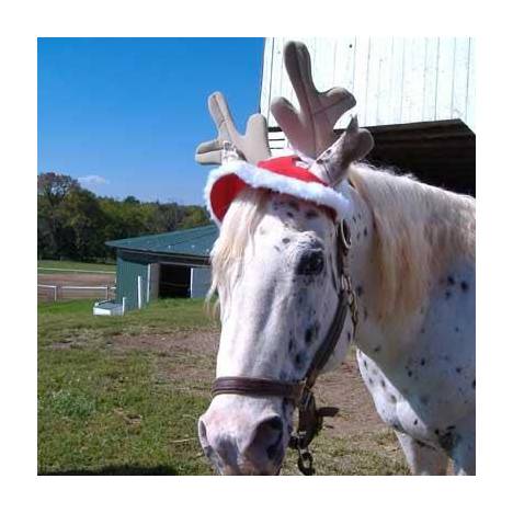 Holiday Reindeer Hat from Tough1