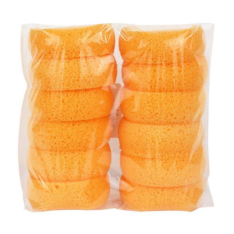 Small Sponges 12 Pack
