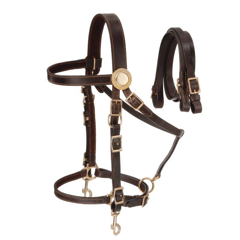 Australian Outrider Supreme Leather Halter Bridle