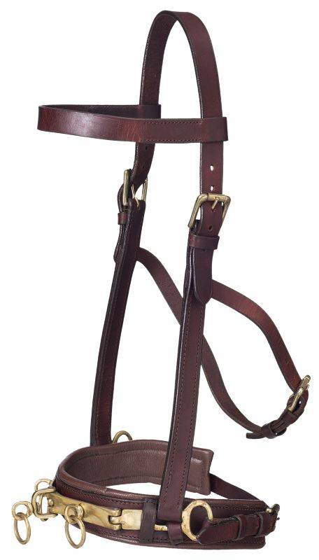 Performers 1st Choice Leather Lunge Caveson