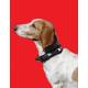 Fly Armor Small Dog Collar Band with 2 Pads