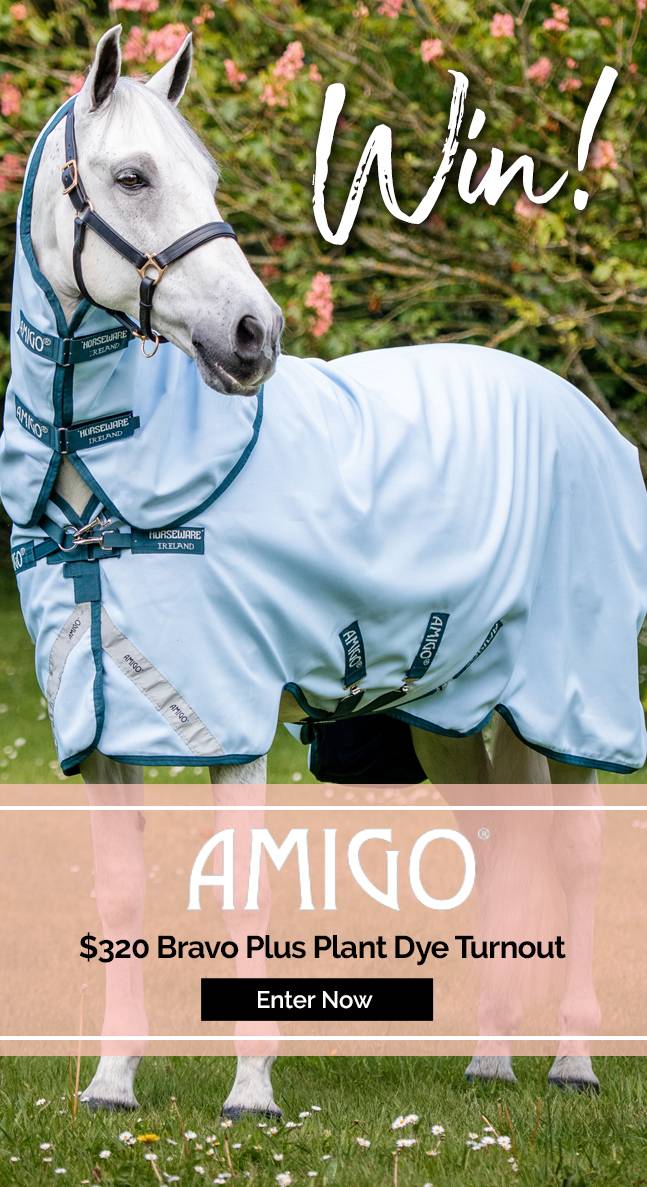 Amigo Bravo Plus Turnout Valued at $320