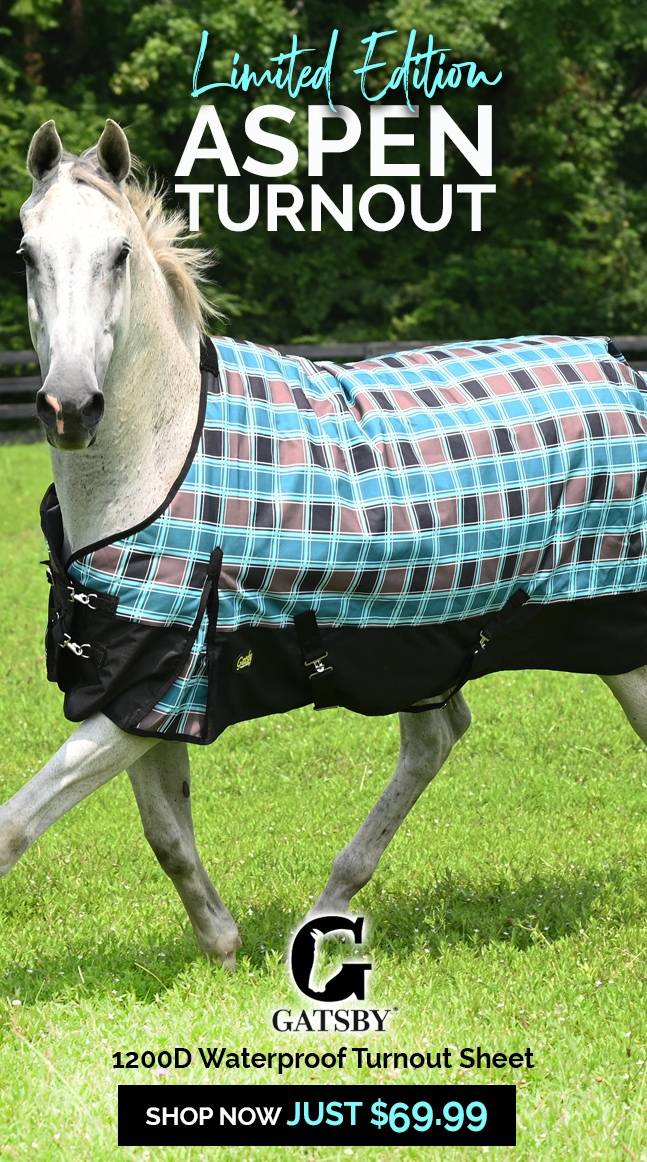 Exclusive Gatsby Aspen Turnout Sheets