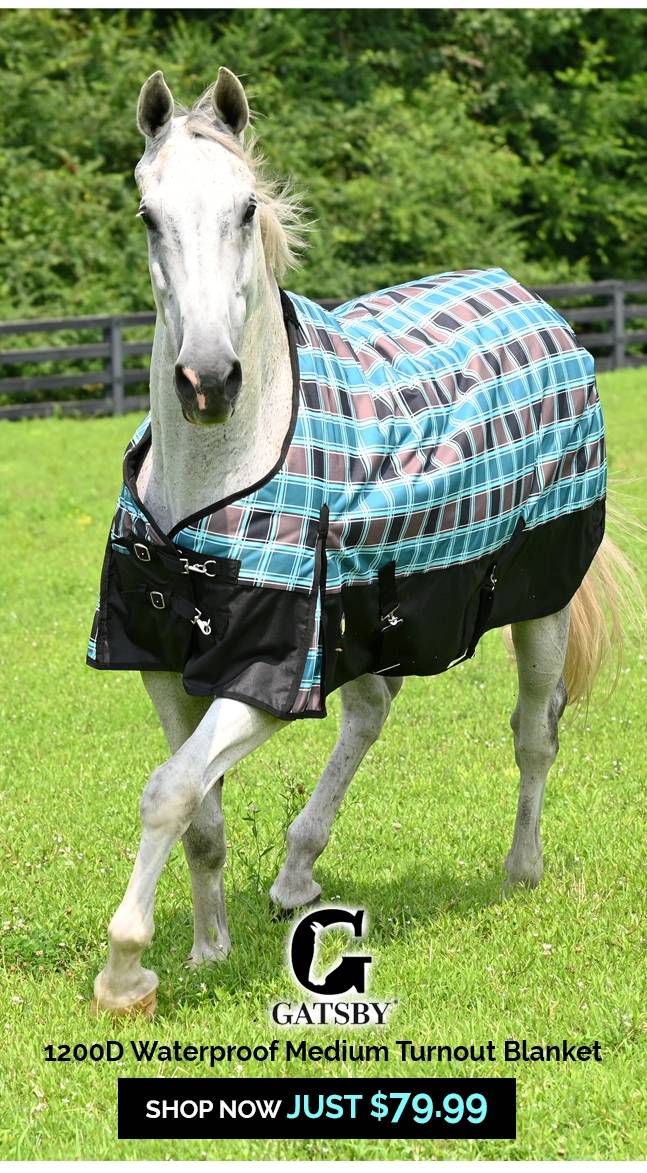 Exclusive Gatsby Aspen Turnout Blankets