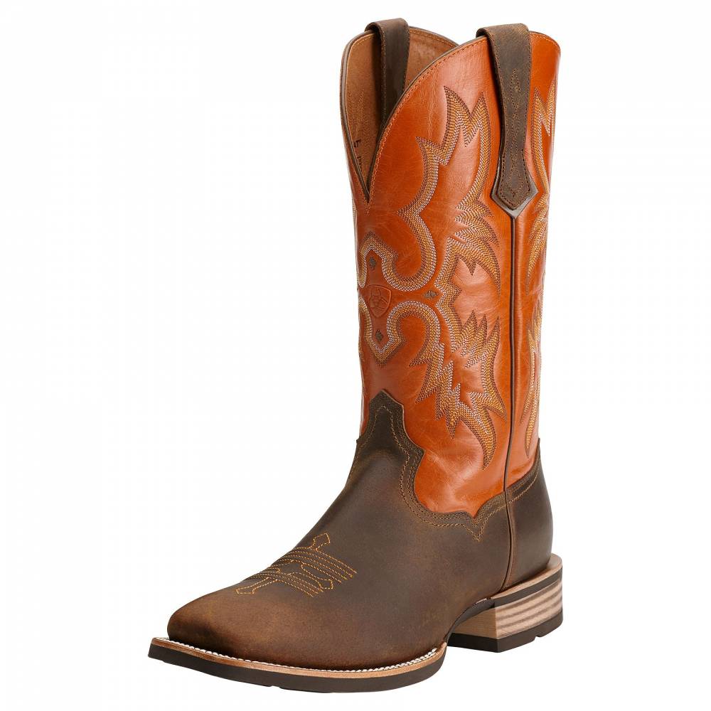 ariat sedona distressed brown boots