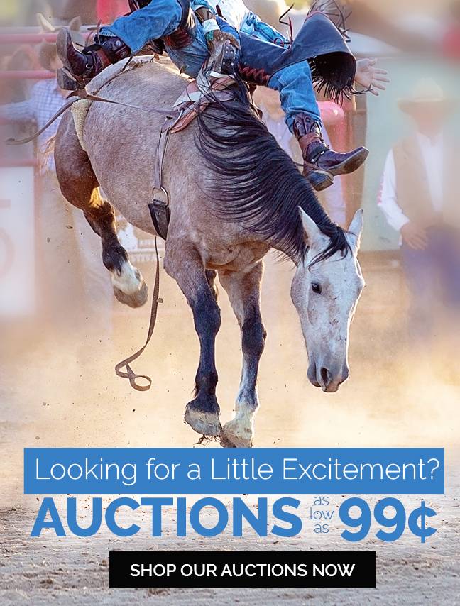 Going...Going...GONE! New Auctions Closing Now >>>>
