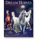 Dream Horses Poster Book
