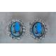 Finishing Touch Turquoise Howlite Oval Crystal Stone Frame w/ Horseshoe Earrings
