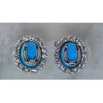 Finishing Touch Turquoise Howlite Oval Crystal Stone Frame with  Horseshoe Earrings