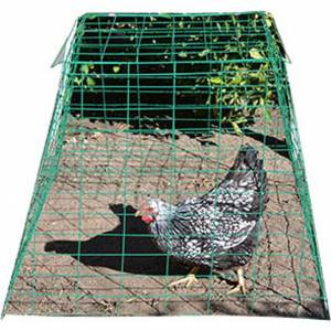 Animal Supplies Internat Pyramid Poultry Wire Cage