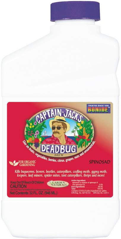 Captain Jack S Deadbug Brew Concentrate