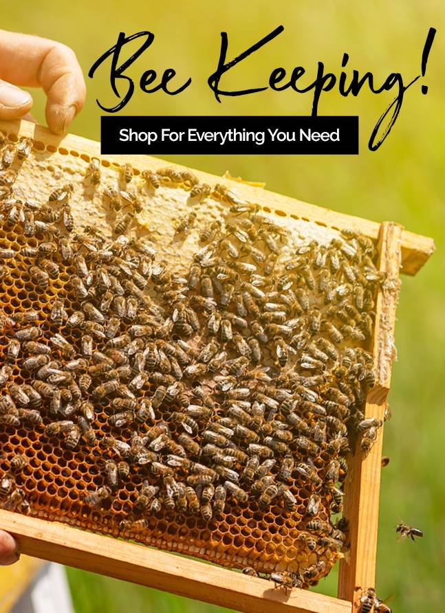 Bee Keeping - Shop Everything You Need
