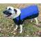 Gatsby 600D Ripstop Waterproof Dog Coat