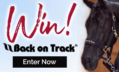 Enter To Win Our Sweepstakes