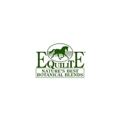 Equilite Logo