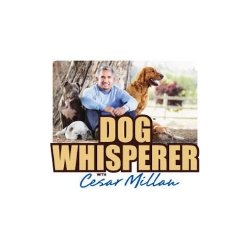 Dog Whisperer Logo
