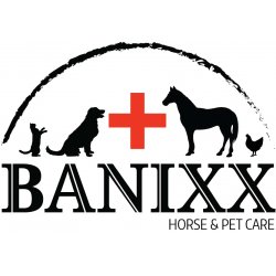 Banixx Logo