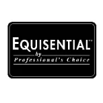 Equisential Products
