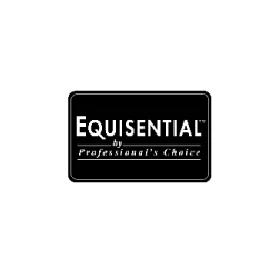 Equisential Logo