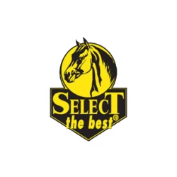 Select The Best Logo