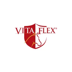 Vita Flex Logo