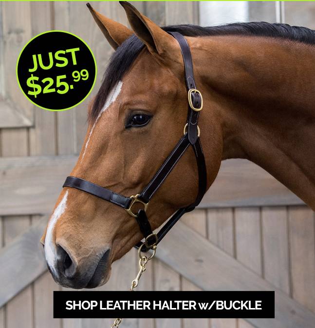 Gatsby Halter without Snap