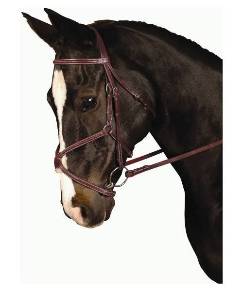 Kincade Padded Figure 8 Bridle
