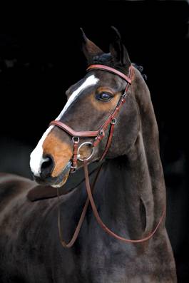 Rambo Micklem Competition Bridle with Reins | HorseLoverZ