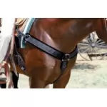 Professionals Choice Martingales & More