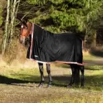 Finn Tack Blankets, Sheets & Coolers