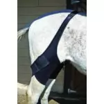 Nunn Finer Horse Therapy