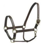 Camelot Halters