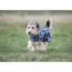Shires Dog Coats & Vests