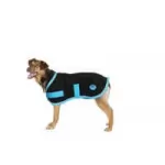 WeatherBeeta Dog Coats & Vests