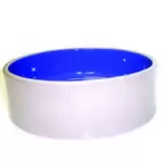 Spot Dog Dishes & Feeders